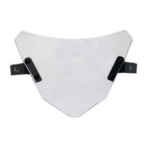 Protetor de farol acrilico bmw g310 gs