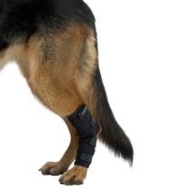 Protetor De Jarrete Para Cachorro Pet Kruuse Rehab Tam G