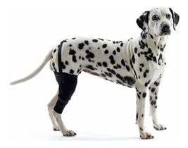Protetor De Joelho Direito P/ Cães Pet Kruuse Rehab Tam G