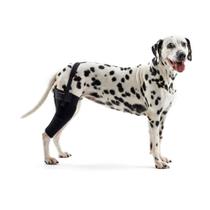 Protetor de Joelho Esquerdo p/ Cachorro Pet Kruuse Rehab Tam PP