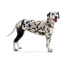 Protetor De Joelho Esquerdo Para Cães Pet Kruuse Rehab Pp