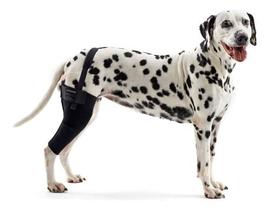 Protetor de joelho g esquerdo