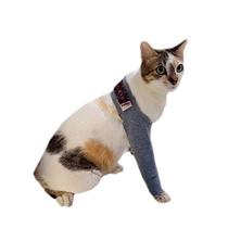 Protetor de Perna Traseira e Dianteira Para Gato