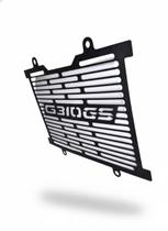 Protetor De Radiador Bmw G310 Gs 2018 Em Diante Protetor De Radiador Bmw G310 Gs 2018 Em Diante