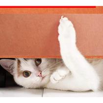 Protetor De Sofá Para Gatos Antiarranhões 1 M. X 55 Cm