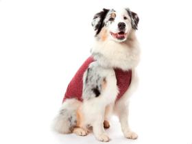 Protetor Higiênico P/ Fralda E Cio Cão Reutilizável N 4