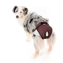 Protetor Higiênico P/ Fralda E Cio Cão Reutilizável