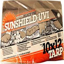 Protetor solar Tarp Dewitt, 10 x 12 pés, 6 onças, resistente a UV, prata
