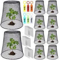 Protetores para plantas Dukelai 10 peças 23 x 23 cm em arame metálico tipo cloche