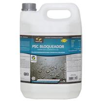 Psc bloqueador - selador impregnante para concretos e fachadas - pisoclean - 5 litros