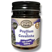 Psyllium + Cavalinha Canteiro de Ervas 120 Cápsulas 500mg Fibras Naturais para Intestino e Saúde