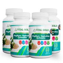 PSYLLIUM + ESPIRULINA + QUITOSANA - 500mg (60 Cápsulas) VITAL GOLD