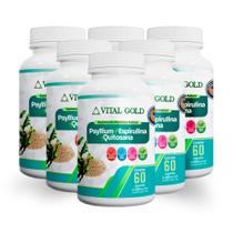 PSYLLIUM + ESPIRULINA + QUITOSANA - 500mg (60 Cápsulas) VITAL GOLD