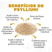 Psyllium Fibra Alimentar 100% Pura Pacote 1 Kg Total Food