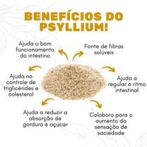 Psyllium fibras 100% Puro Pacote 500 grs Total Food Fibra 100%