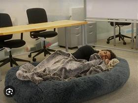 Puff Ninho G de Dormir Grande - Área de Descanso para Sofá Cama Adulto