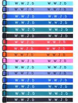 Pulseiras Juinte WWJD O que Jesus faria 100 unidades - 10 cores
