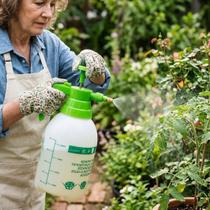 Pulverizador Pressão 2 Litros Manual Leve Profissional Jardim Hortas Resistente Compacto Ergonômico Pulverizador Pressão 2 Litros Manual Leve Profissional Jardim Hortas Resistente Compacto Ergonômico
