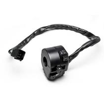 Punho luz magnetron esquerdo titan fan 05-08