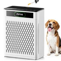 Purificador de Ar AIRTOK AP3001 HEPA para Ambientes Grandes 172 m²