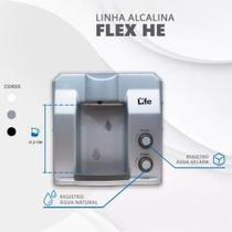 Purificador Super Água Alcalina Ionizada Gelada Ph 9,5 Redox/Pral Negativo Flex HE Prata 127v - Top Life