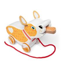 Push Pull Toy Melissa e Doug Feed Walk Poo Pup com mais de 3 anos Push Pull Toy Melissa e Doug Feed Walk Poo Pup com mais de 3 anos