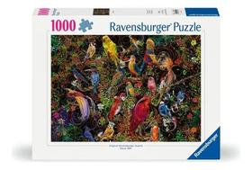 Puzzle 1000 Peças Arte dos Pássaros Ravensburger 12000557