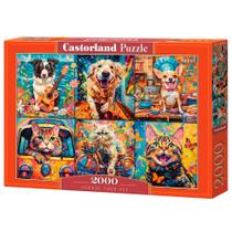 Puzzle 2000 Peças Meu Pet Preferido - Castorland Importado 2009482