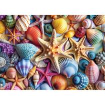 Puzzle Blueforest Colorful Seashell Collection 1000 peças Puzzle Blueforest Colorful Seashell Collection 1000 peças