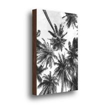 QADR28-Quadro Decorativo Coqueiros Preto e Branco 40x60cm