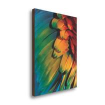 QADR74-Quadro Decorativo Asas Coloridas 50x70cm QADR74-Quadro Decorativo Asas Coloridas 50x70cm