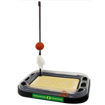 Quadra de basquete Cat Scratcher Toy NCAA Oregon Ducks
