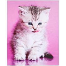 Quadra Tela Impressa gato Fundo Rosa FullWay Lindo Decorativo