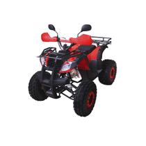 Quadriciclo 125cc Taigon 4 tempos Automático Ré e Partida Elétrica