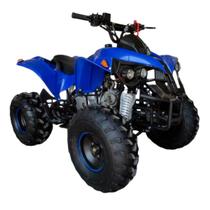 Quadriciclo Gasolina 125CC 4T Partida Elétrica Automático com Ré 0Km Importway Iwatvr-125