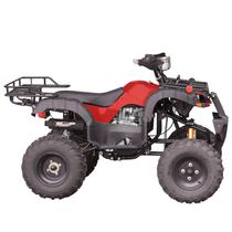 Quadriciclo PRO ATV 250cc Freio a Disco Gasolina Partida Elétrica 4 Tempos - TATV250