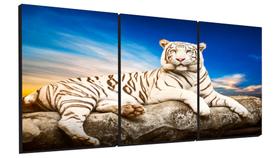 Quadro 3 peças Tigre branco belo para sala quarto Alto padrão Luxo