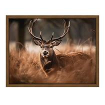 Quadro 60cm X 80cm Animal Cervo Tropical Artes Quadro 60cm X 80cm Animal Cervo Tropical Artes