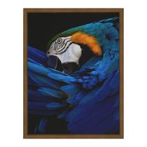 Quadro 60cm X 80cm Papagaio Tropical Artes Freijó Quadro 60cm X 80cm Papagaio Tropical Artes Freijó