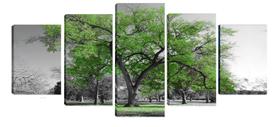 Quadro 70x150cm em Impressão Digital Árvore Verde Atelier Valverde