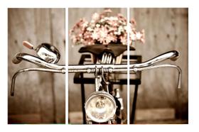 Quadro 70X150cm em Impressão Digital trio bicicleta vintage Atelier Valverde
