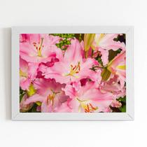 Quadro Açucena Lilium Candidum Flor Moldura Branca 60x40cm Quadro Açucena Lilium Candidum Flor Moldura Branca 60x40cm