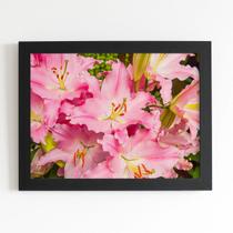 Quadro Açucena Lilium Candidum Flor Moldura Preta 60x40cm Quadro Açucena Lilium Candidum Flor Moldura Preta 60x40cm