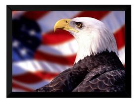 Quadro Águia Americana Foto Poster Moldurado Decoração Quadro Águia Americana Foto Poster Moldurado Decoração