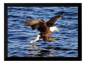 Quadro Águia Foto Paisagem Poster Moldurado Decoração