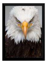 Quadro Águia Foto Poster Moldurado Poder Decoração