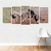 Quadro Animais Chita Guepardo Predador Filhotes Felídeos Can