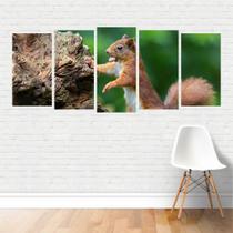 Quadro Animais Esquilo Roedor Canvas