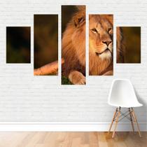 Quadro Animais - Felinos Leão Deitado 110X65 Em Tela Canvas