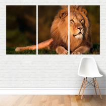 Quadro Animais - Felinos Leão Deitado 125X65 Em Tela Canvas Quadro Animais - Felinos Leão Deitado 125X65 Em Tela Canvas
